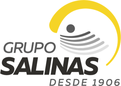 Grupo Salinas
